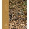 Camouflages -  100 animaux, maitres du déguisement