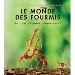 Le monde des fourmis