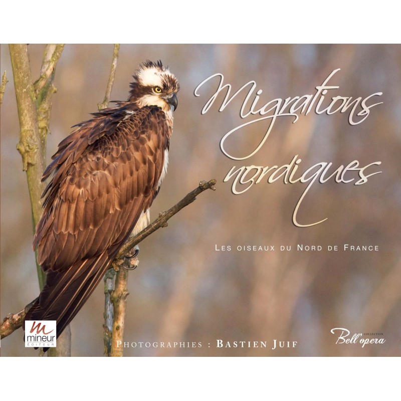 Migrations Nordiques - Oiseaux du Nord de France