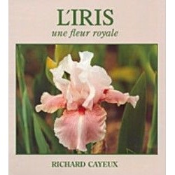 L'Iris une fleur royale