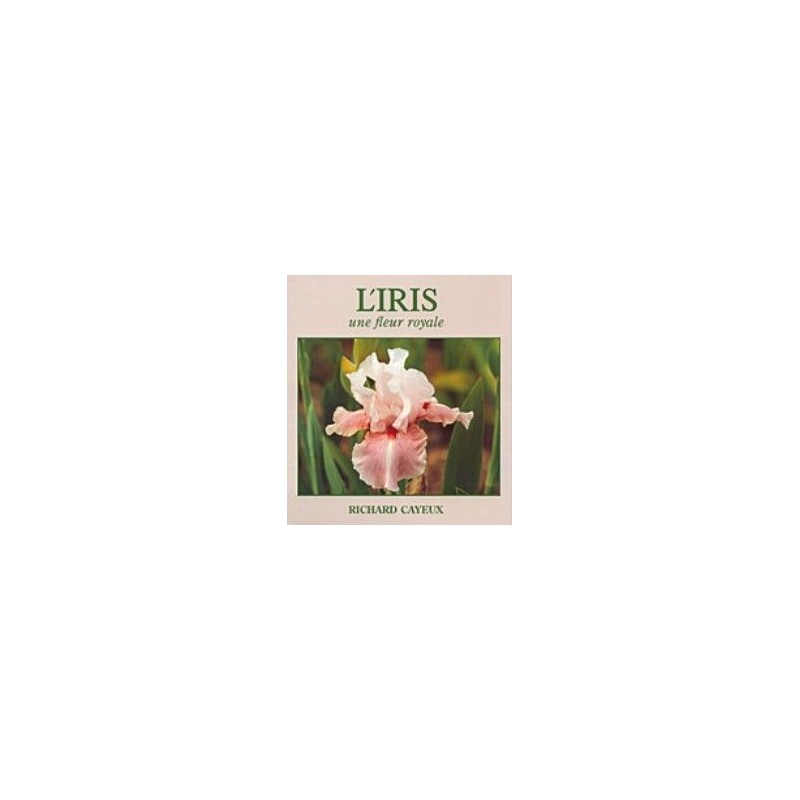 L'Iris une fleur royale