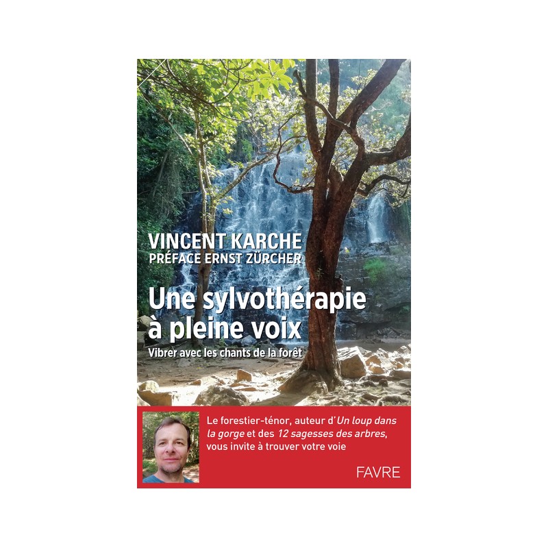 Une sylvothérapie à pleine voix - Vibrer avec les chants de la forêt