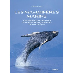 Les mammifères marins