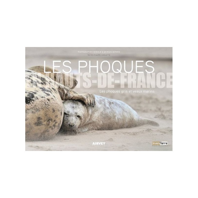 Les phoques en Hauts-de-France