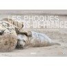 Les phoques en Hauts-de-France